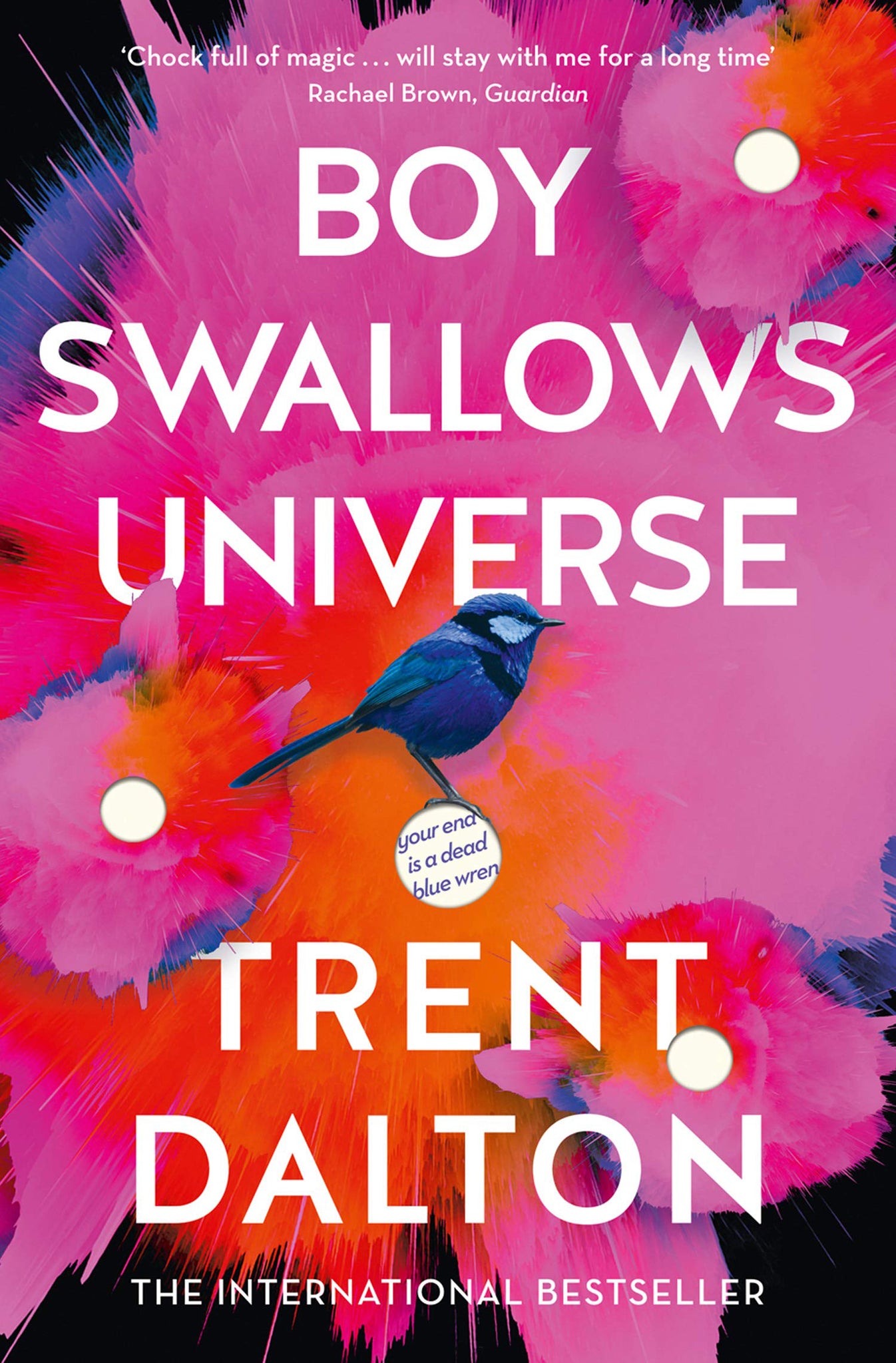 Trent Dalton - Boy Swallows Universe