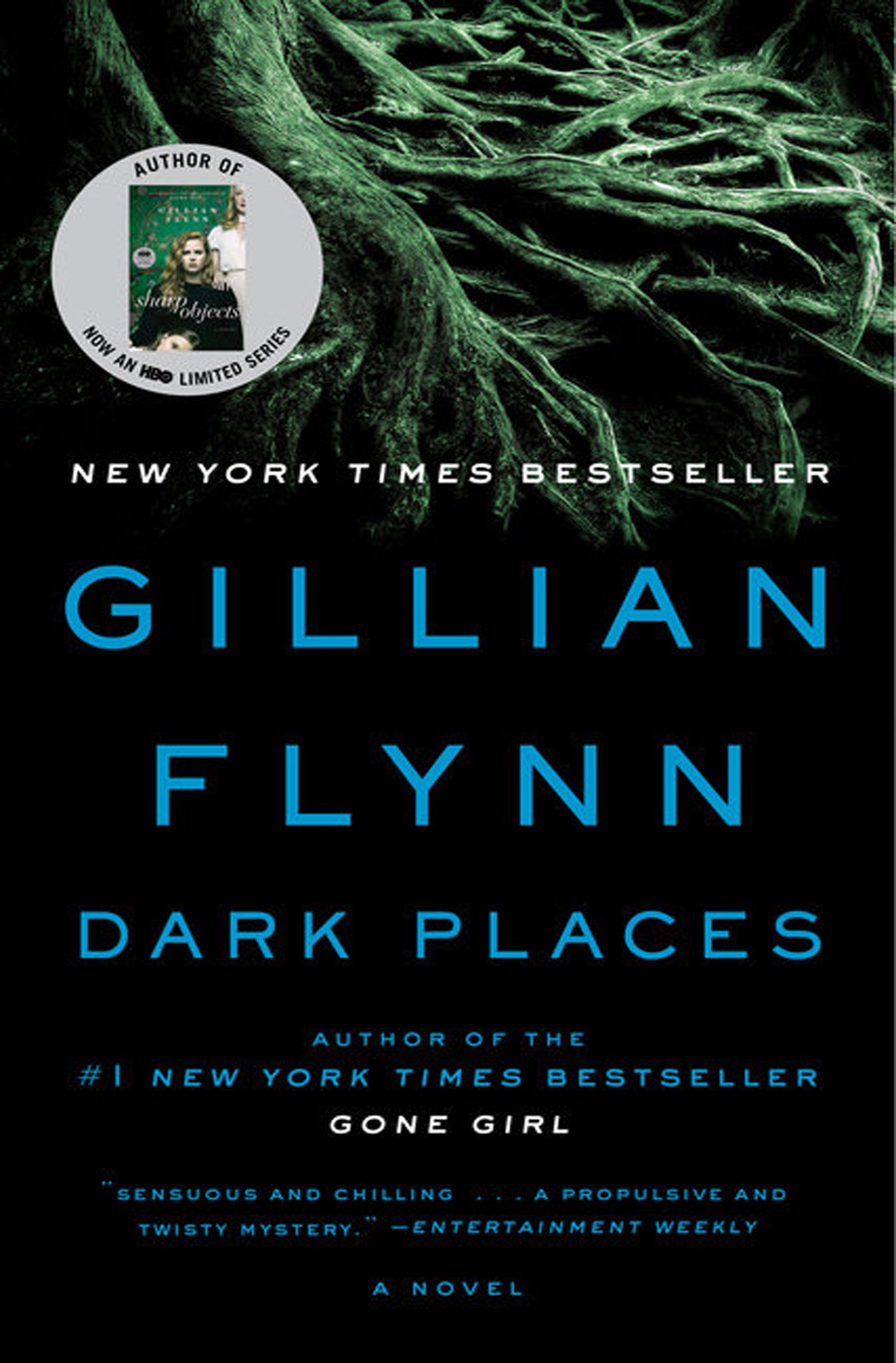 Gillian Flynn - Dark Places