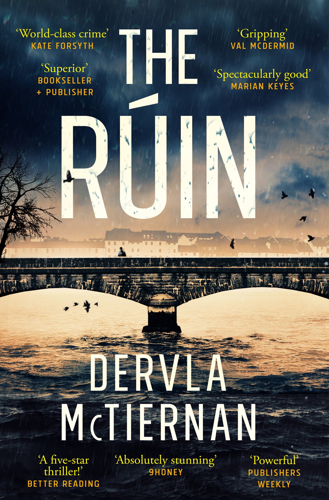 Dervla McTiernan - The Ruin